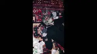 [FREE] Playboi Carti x ApolloRed1 type beat 