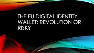 The EU Digital Identity Wallet: Revolution or Risk?