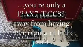 MadCat KT45 sample test