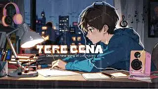 Tere Bina | Emotional Hinglish Breakup Song | Sad Love Story 💔 | Original Lyrics #sadlofi #music