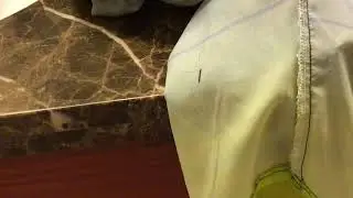 dancing bug