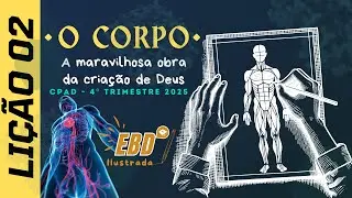 Lição 2: O Corpo - A Maravilhosa Obra da Criação de Deus | 4º Trimestre 2025 - Adultos