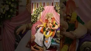 Ganesh Chaturthi Celebrations at Ark Reflections IAS 🎉🙏