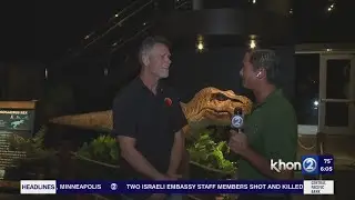 Come face-to-face with an actual dinosaur at Bishop Museum