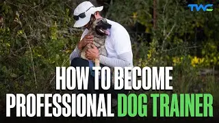 How to Become a Professional Dog Trainer: Dylan Jones