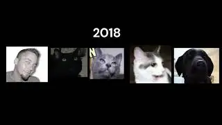 the Talking Kitty Cat Series in About 20 Seconds