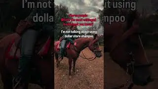 Give me the deets! #horse #horsehack #horsegirl