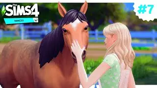 NOWY KOŃ I URODZINY 🐎 The Sims 4 RANCZO