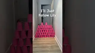 Obstacle Challenge 😻 Cats VS Cups #shorts #catchallenge #cats