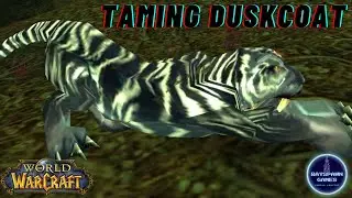 Rare Pet WoW Duskcoat