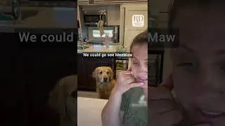 Dog Listens in on Owner's Fake Phone Call