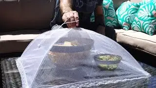 Datong Pop-Up Mesh Tent Food Covers Review