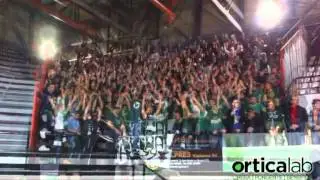 Il derby sugli spalti tra Caserta ed Avellino