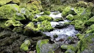 Gentle stream sounds/relaxing stream sounds for relaxation and sleep