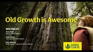 Webinar: Old Growth is Awesome