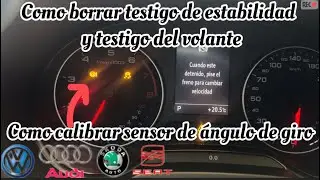 C&oacute;mo borrar testigo del volante y estabilidad (calibrar sensor de &aacute;ngulo de giro) L&Iacute;NEA VW AUDI SEAT