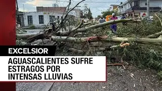 M&aacute;s de 30 &aacute;rboles ca&iacute;dos en Aguascalientes por tremenda tormenta