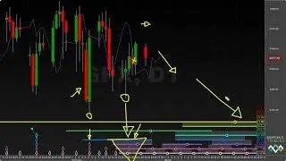 SPX & BTC - Hurst Cycles Market Update - 23 February 2026