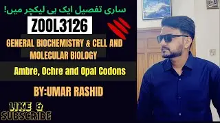 Amber, Ochre and Opal Codons | Is AUG the only start codon? | Zoology Corner
