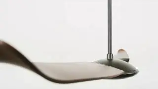 Modern Ceiling Fans 1 | The Modern Fan Company