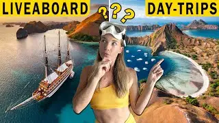 Komodo Diving: Liveaboard vs Day Trips &ndash; Don&rsquo;t Choose Wrong! | Costs, Logistics, Diving
