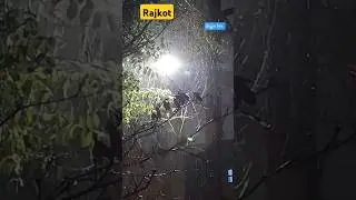 રાજકોટમાં સતત ચોથા દિવસે સાંજે પધરામણી #shorts #mavthu #rain