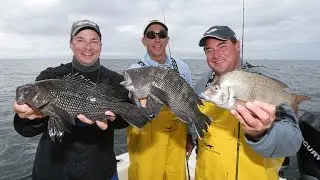Sea Bass Fishing - Niantic, CT