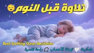 قران كريم بصوت جميل جدا قبل النوم 😌 راحة نفسية لا توصف 🎧🎧