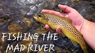 Trout Fishing On The Mad River