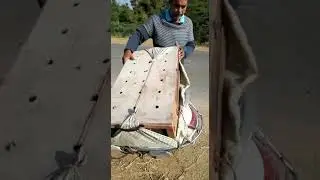 Not a good place to Toss your birds, please be safe| Racing Homer Pigeon