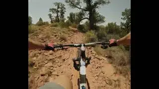 Thunder Dog Productions Episode 3 - SHIMANO XC-7 shoe REVIEW and CANYON of FOOLS trail review.