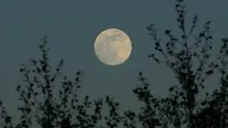 Everyone's gone to the moon(cover)-Jonathan King by David Wakeling
