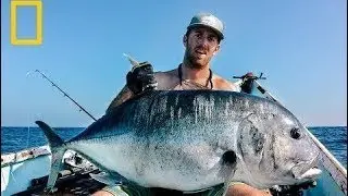 National Geographic Documentary Wild Hooked Deadly Design Nat Geo Wild