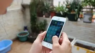 Iphone SE Launch Date Finally Revealed