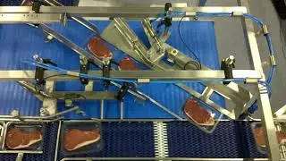 Dodman inline merging system