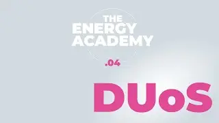 Distribution Use of System charges: how does DUoS work?
