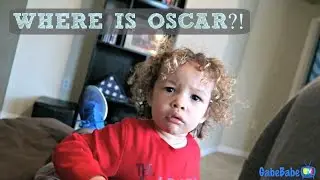 WHERE IS OSCAR?!