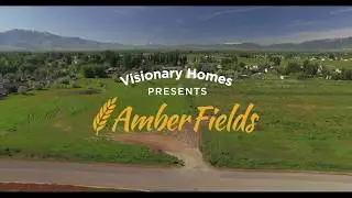 Amber Fields