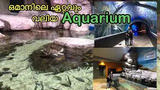 MALL OF MUSCAT AQUARIUM ഒമാനിലെ ഏറ്റവും വലിയ Aquarium കണ്ടാലോ