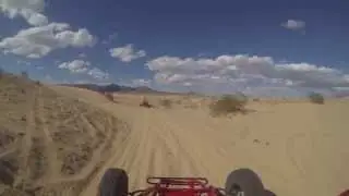 Dune Buggy Mini Baja Chase