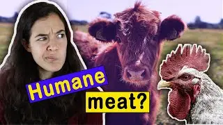 The Ethics of Eating Meat in 2020 (& WHY YOU SHOULD STOP!)