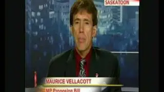 Canadian Debate on Shared Parenting and Allegations of Domestic Violence