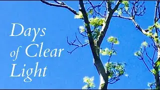 Days of Clear Light - A Festschrift in Honour of Jessie Lendennie - Live Launch - 6th Jan 2021 (2)