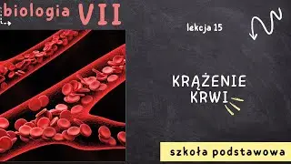Biologia 7 [Lekcja 15 - Krążenie krwi]