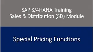 Video 54 - SAP S/4HANA Sales & Distribution (SD) Module training - Special Pricing Functions.