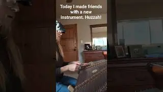 Some Irish trad, mostly shenanigans