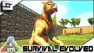 ARK: Survival Evolved - CHALICOTHERIUM TAMING! S4E55 ( The Center Map Gameplay )