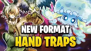 Best Hand Traps | July 2024