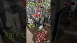 Tea pouch packing Machine four side Sealing type.