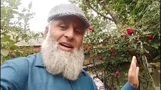Beautiful♥️ Village🥰 Life Of Jammu and Kashmir Distt. Kathua|| India